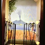 Hotel Cesare Rosaroll 14